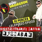 duguláselhárítás-maffia