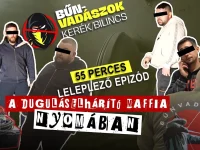 duguláselhárítás-maffia