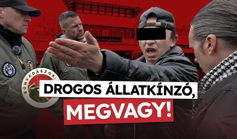 Bűnvadászok: DROGOS 🪓 állatkínzó, MEGVAGY!
