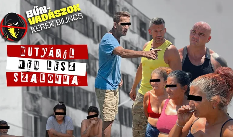 Kutyából nem lesz Szalonna (Kerék/bilincs 13.)